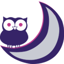 Evening-deliveries-icon night delivery