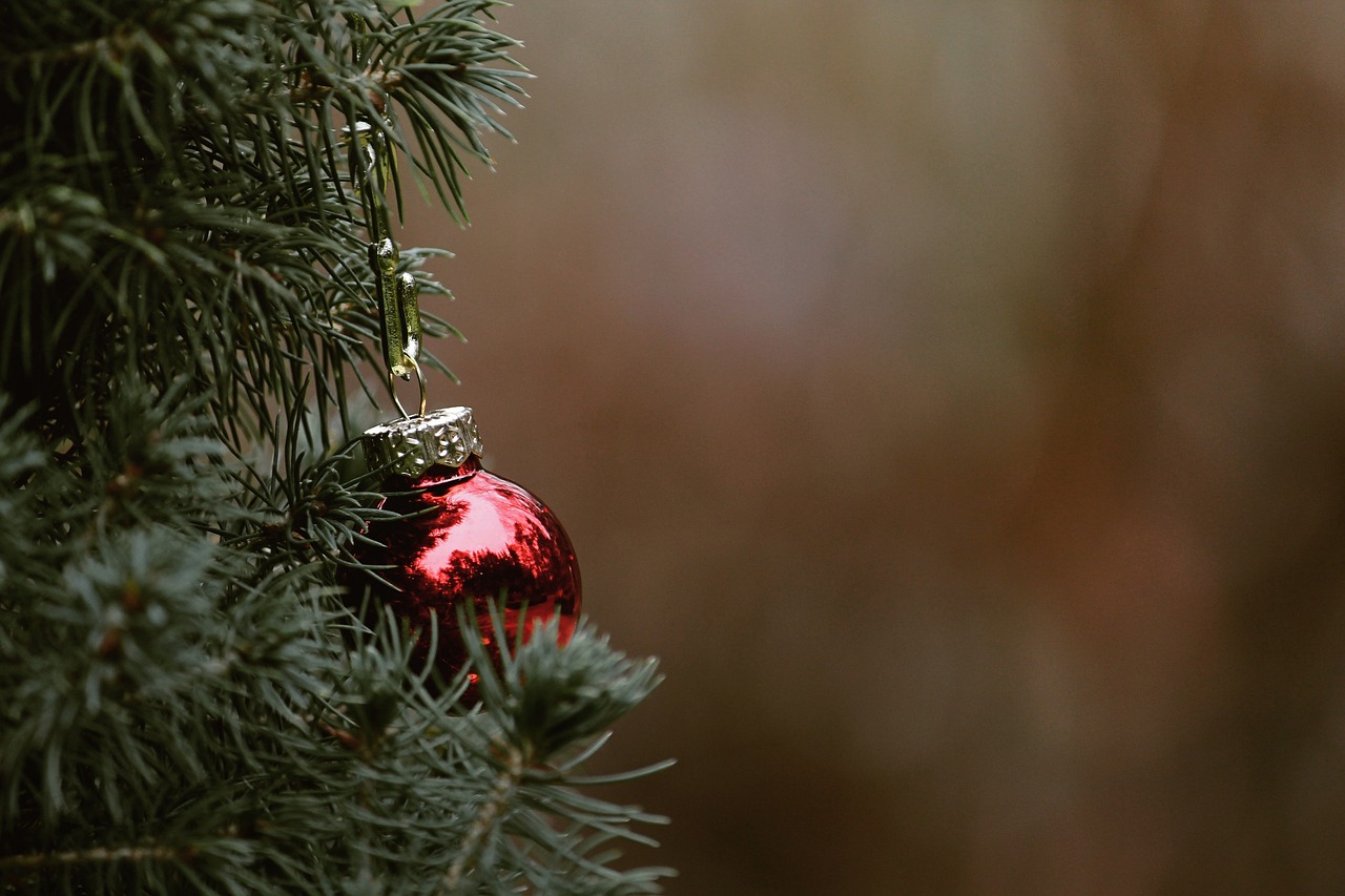 christmas, tree, fir tree, christmas tree, bullet, christmas balls, deco, decoration, red, nature, close up, christmas time, christmas ornament, jewellery, decorate, contemplative, needles, green, christmas, christmas, christmas, christmas, christmas, christmas tree, christmas tree, christmas tree, christmas tree