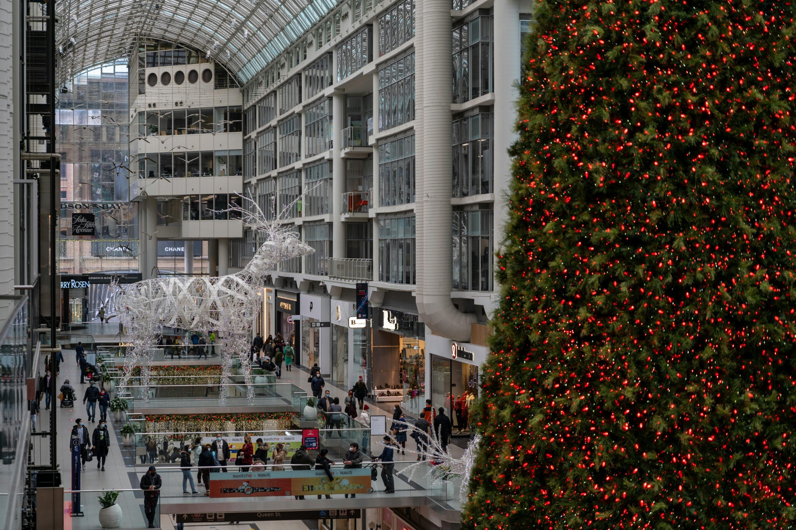 pexels-photo-10844055-10844055 People shopping amidst festive decorations, including a large Christmas tree, inside a Toronto mall.