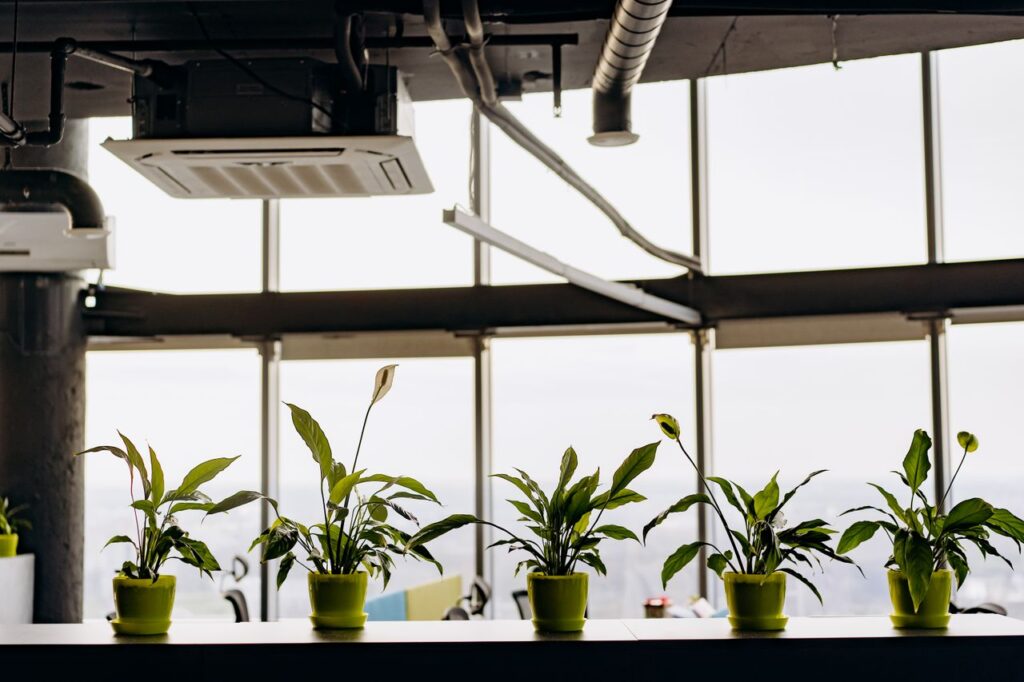 pexels-photo-8297858-8297858 Stylish office interior featuring potted peace lilies with natural light from large glass windows.