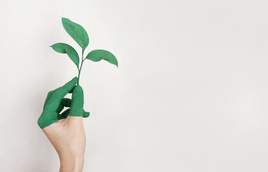 pexels-photo-886521-886521-1 A hand painted green holds a fresh plant sprout against a light background, symbolizing growth and sustainability.